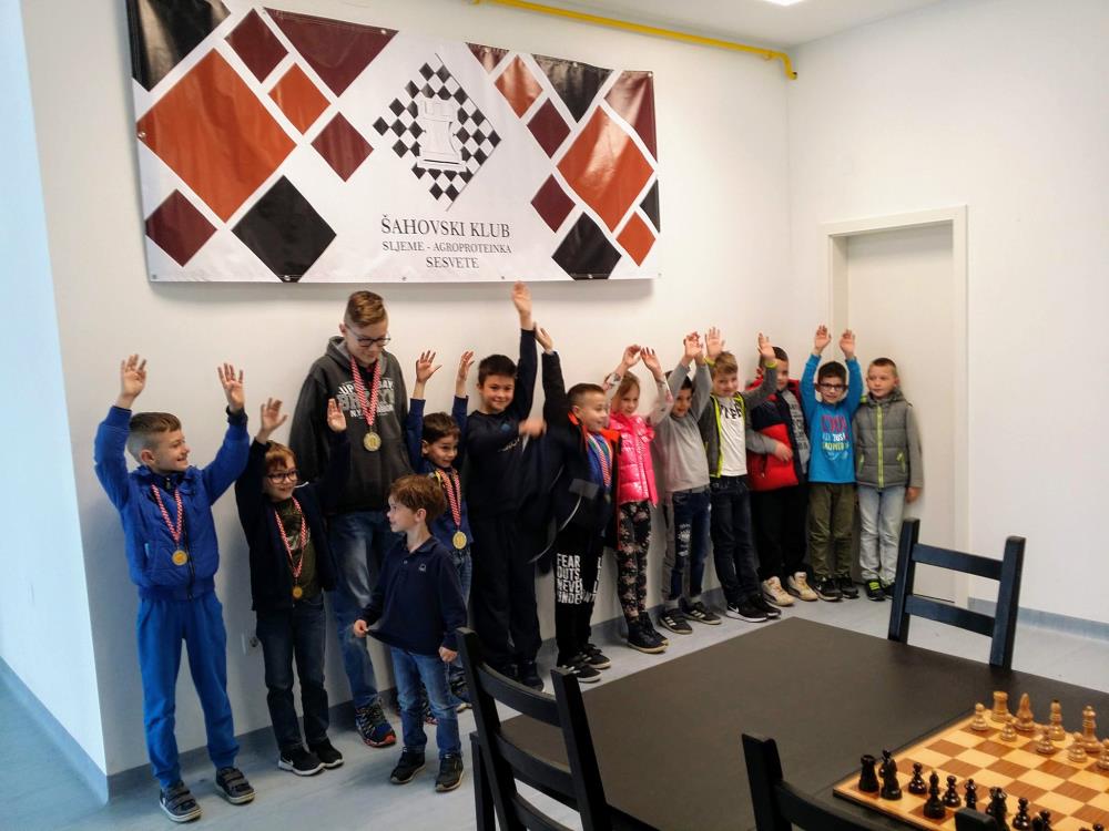 Ljetna škola šaha za djecu