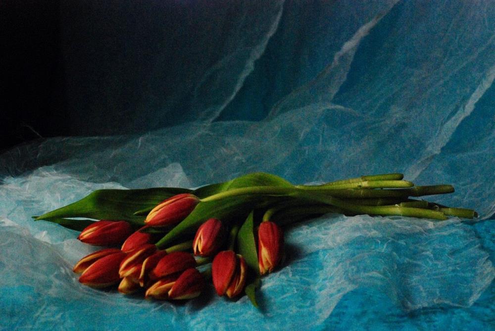 Mrtva priroda - cvijeće Jovice Drobnjaka u Muzeju Prigorja