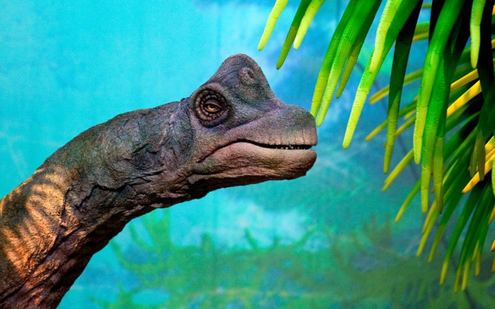 Australci otkrili otisak stopala dinosaura dug 1,7 m