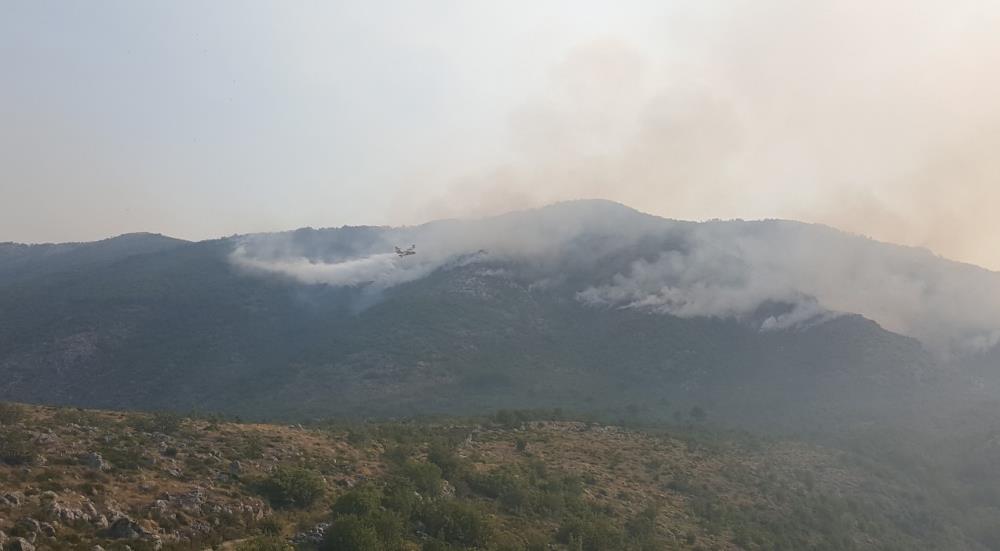 Požari i dalje bjesne Crnom Gorom, stigao kanader iz Hrvatske