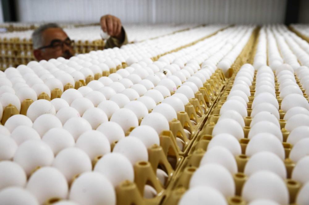 Skandal s kontaminiranim jajima proširio se na 17 zemalja