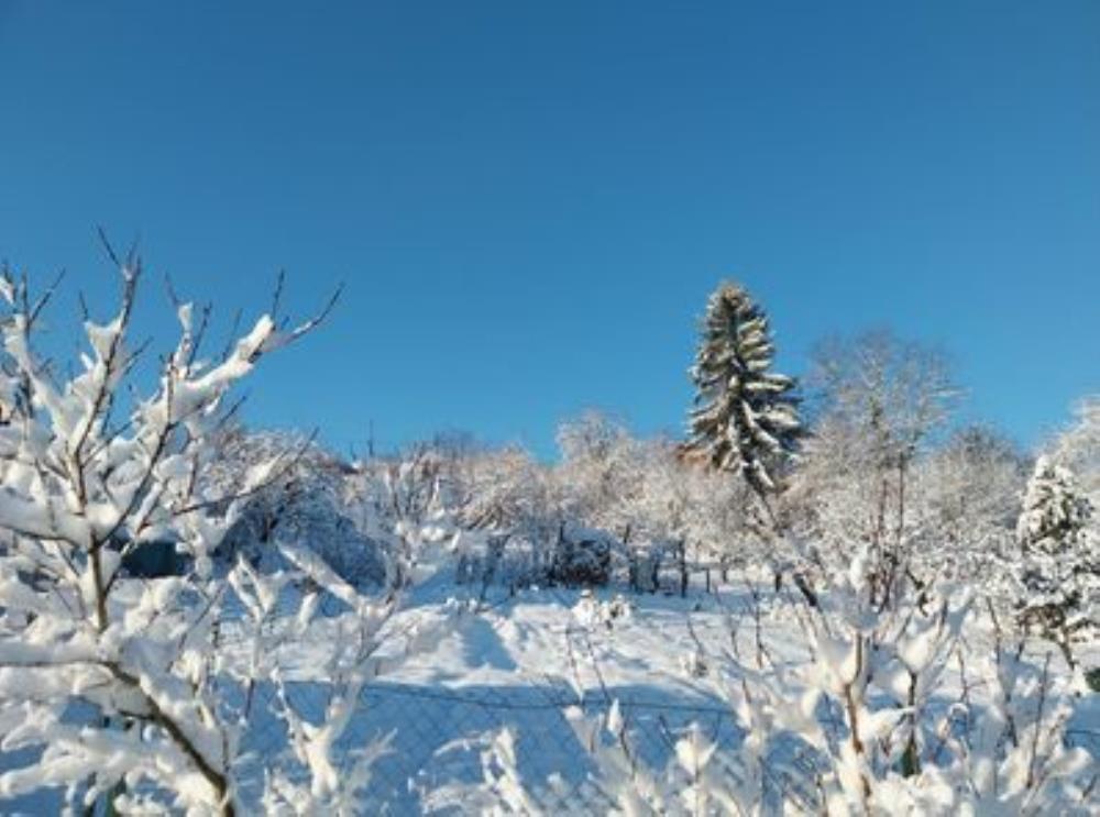 Idilične zimske fotografije Prigorja iz objektiva građana