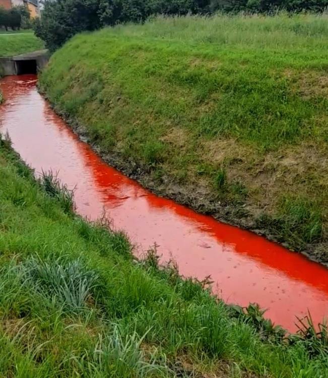 Črnec potok u Dumovcu danas je krvav, vrijeme je za uzbunu!