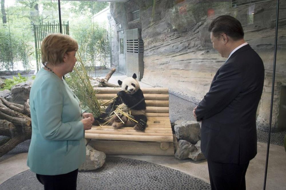 Njemački zoološki vrt pokušat će seksom izliječiti pandu