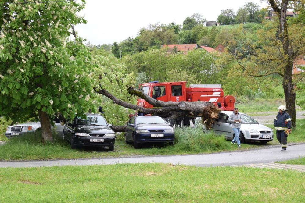 Olujni vjetar u Vugrovcu srušio veliko stablo na četiri vozila