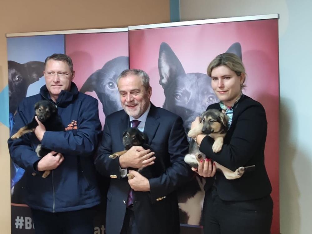 Bandić jutros u Dumovcu promovirao pseći kalendar